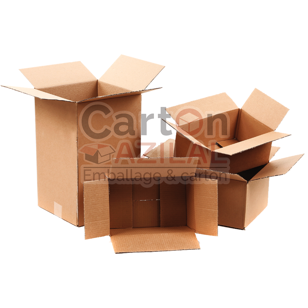 Carton 30x20x20 simple écrue