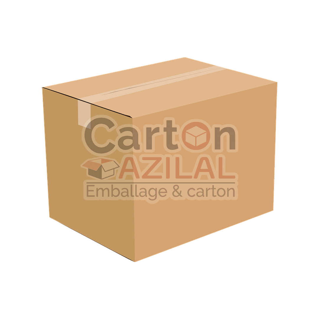 Carton 10x10x10 simple écrue