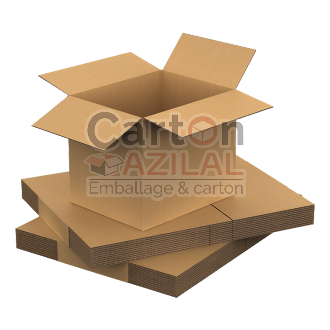 Carton 15x10x20 simple écrue